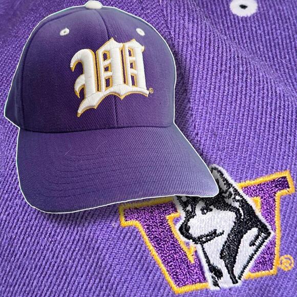 Other Other - Washing huskies hat